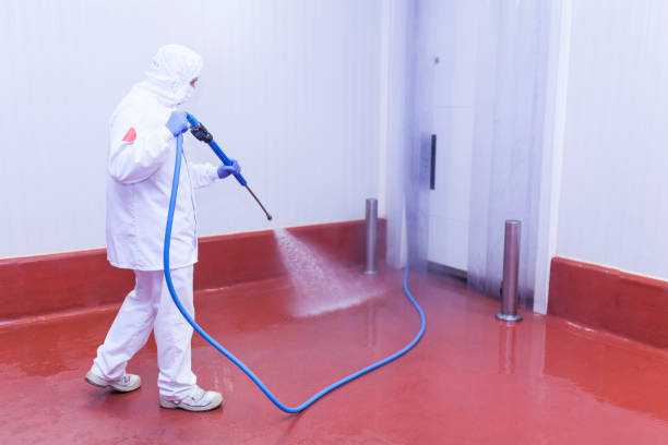 Best Playground Equipment Cleaning  in Pevely, MO
