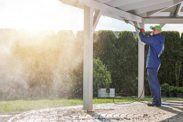 Best Solar Panel Cleaning  in Pevely, MO